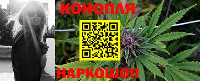 мдпв Обнинск